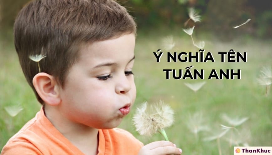 Ý nghĩa tên Tuấn Anh Ý nghĩa tên Tuấn Anh