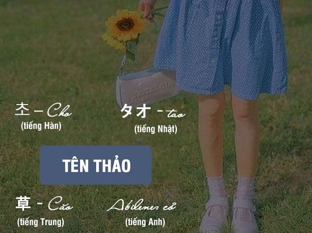 Ý nghĩa tên Thảo Anh - Loài cỏ cây không chịu khuất phục