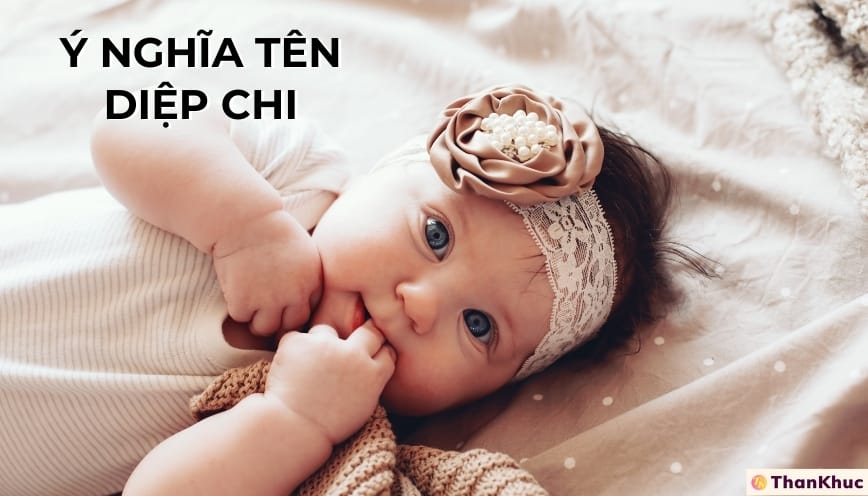 Ý nghĩa tên Diệp Chi