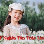 Khám phá ý nghĩa tên Trúc Linh - Dự đoán tính cách, sự nghiệp và tình duyên