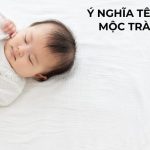 Ý nghĩa tên Mộc Trà - Tính Cách, Sự Nghiệp và Tình Duyên