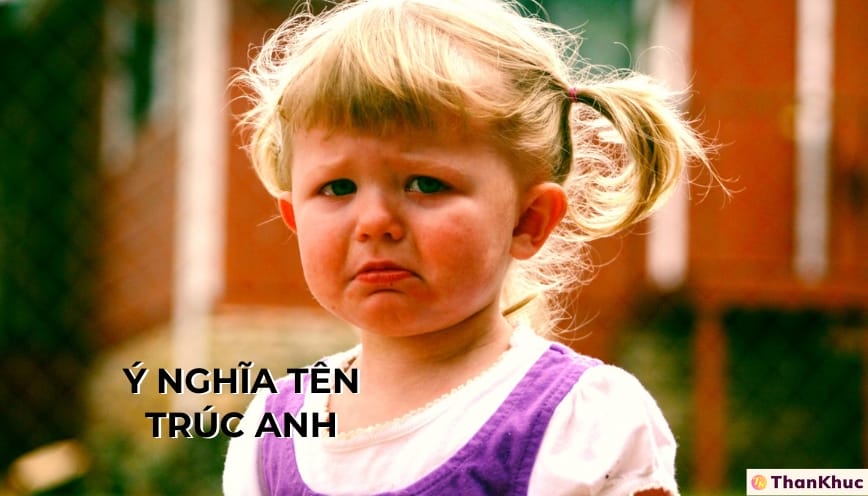 Giải Mã Ý Nghĩa Tên Trúc Anh – Tính Cách, Sự Nghiệp Và Tình Duyên