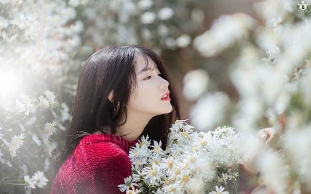 Dự đoán tính cách, công việc của chủ nhân tên Hương Thảo