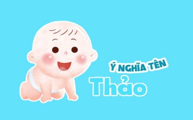 Tìm hiểu ý nghĩa tên Như Thảo