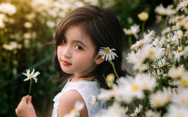 Ý nghĩa của từ Bích