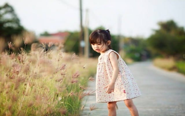 Ý nghĩa tên Diệp Thảo