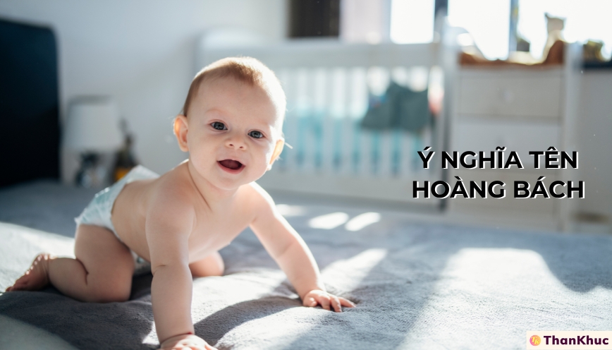 Ý Nghĩa Tên Hoàng Bách - Tính Cách, Sự Nghiệp Và Tình Duyên Ý Nghĩa Tên Hoàng Bách - Tính Cách, Sự Nghiệp Và Tình Duyên