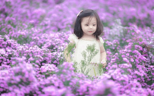 Ý nghĩa tên Thạch Thảo