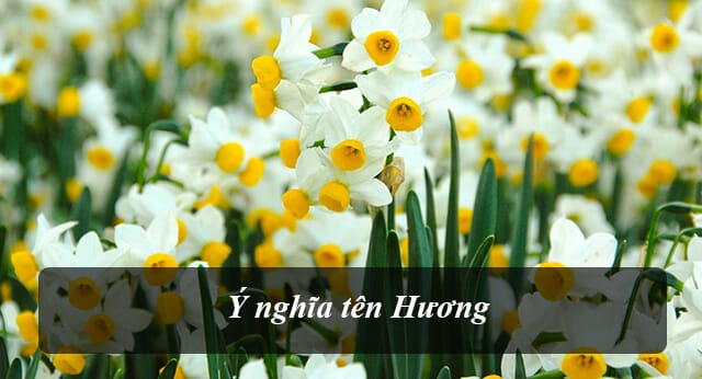 Ý nghĩa của tên Hương