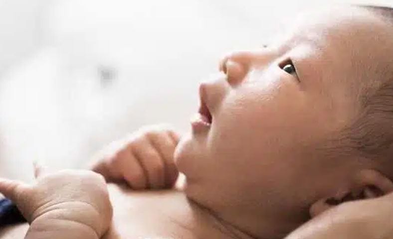 Ý nghĩa tên Diễm Quỳnh - Tên hay - ý nghĩa cho bé gái nhà bạn